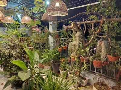 alleyhomestay 2 – Foto 3